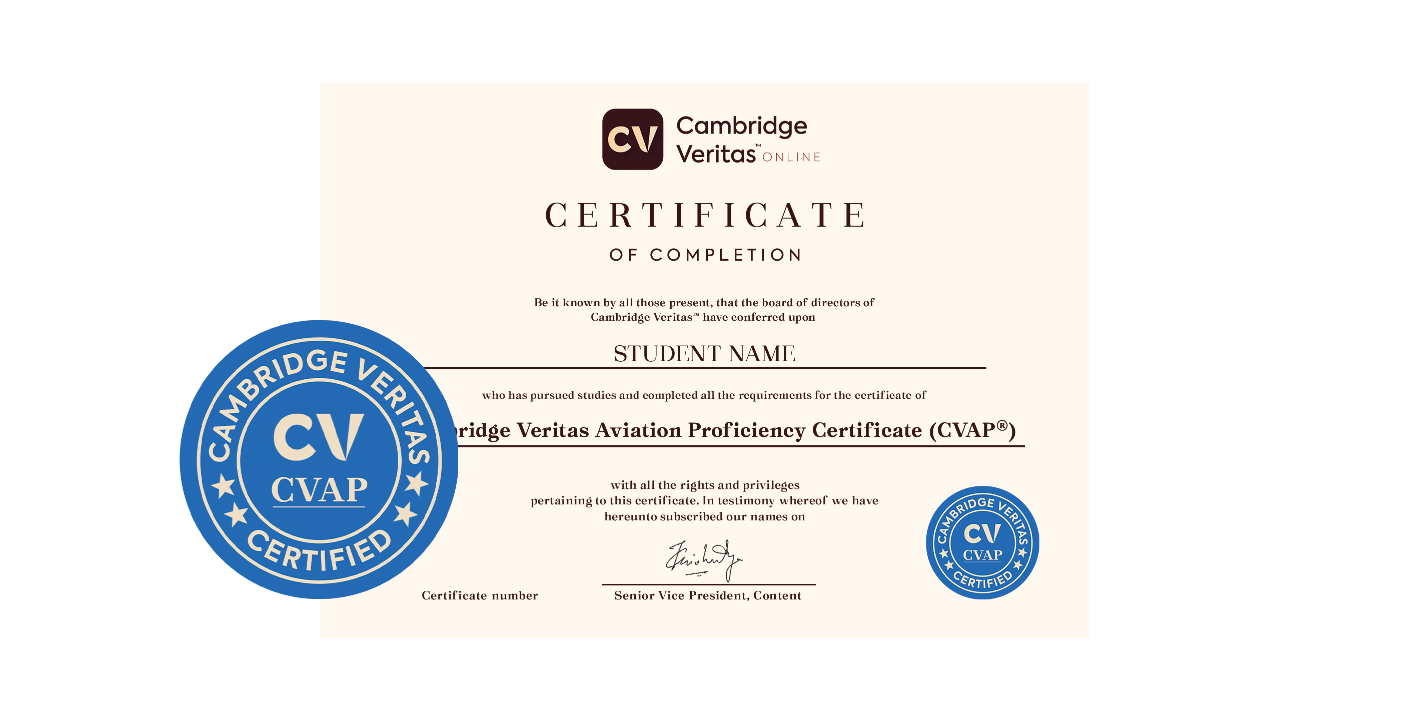 Cambridge Veritas Aviation Proficiency Certificate (CVAP®)