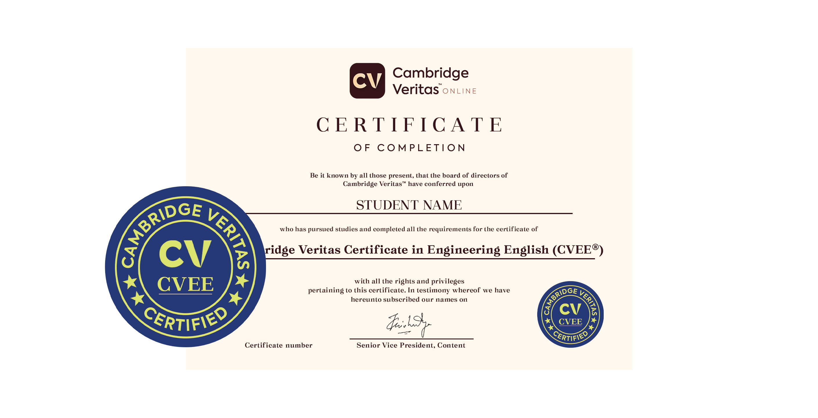 Cambridge Veritas Certificate in Engineering English (CVEE®)