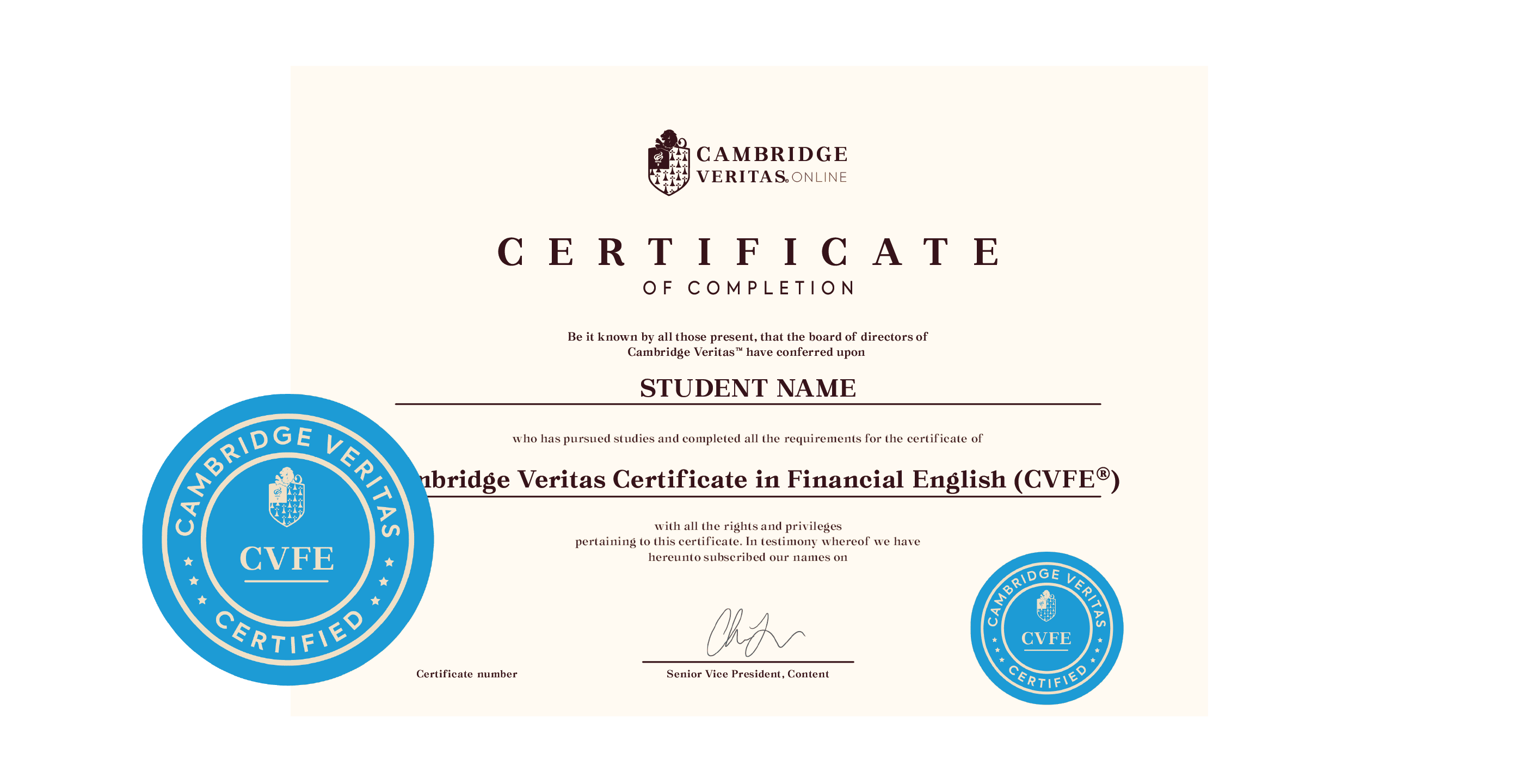 Cambridge Veritas Certificate in Financial English (CVFE®)